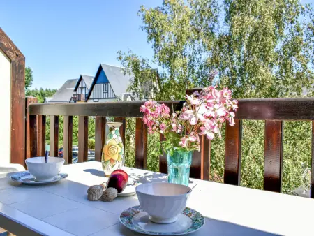 Location appartement à Deauville Trouville, Les Chatelaines