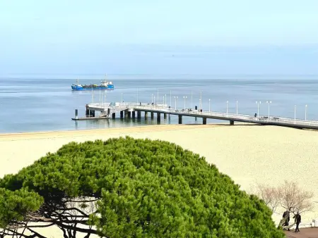 Appartement Claire à Arcachon, 50 m de la plage : photo 4