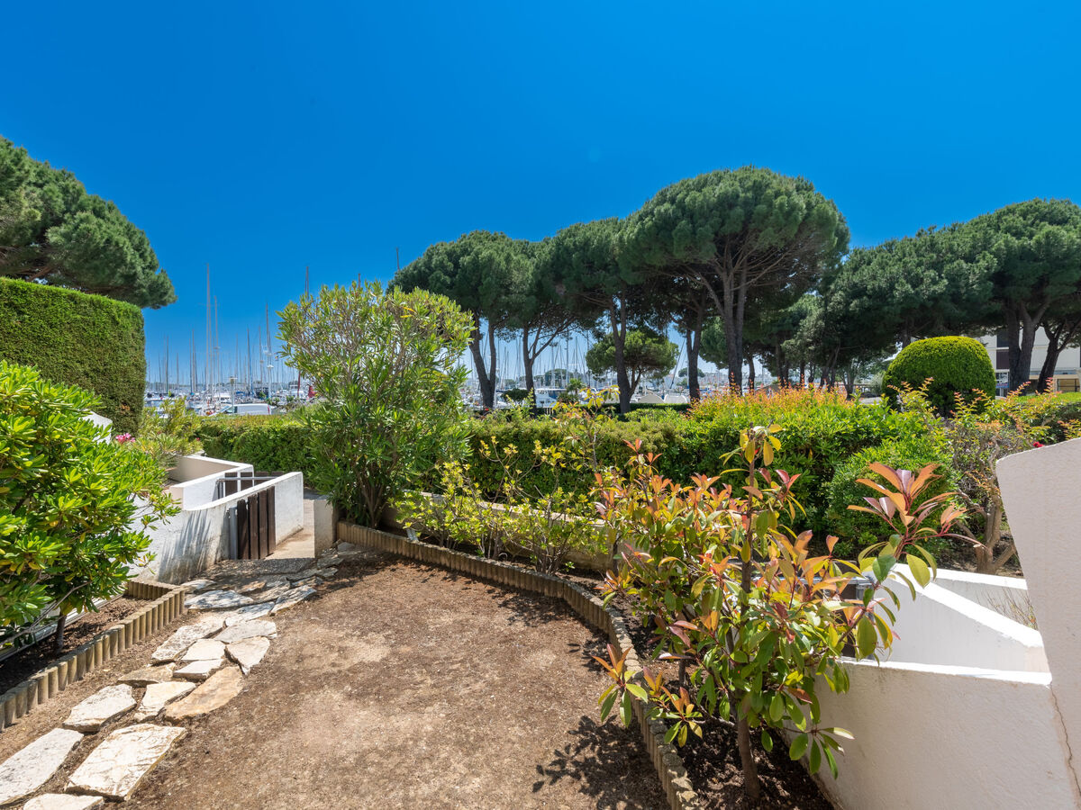 Le Cormoran – Studio 31 m² face à la mer - Photo 18