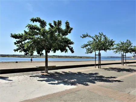 Appartement Les Portes de la Plage, 50 m de la mer - Photo 4