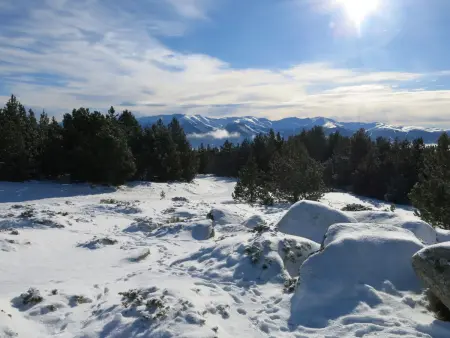 Appart 3 pièces 6 pers. vue montagne à Bolquère : photo 30