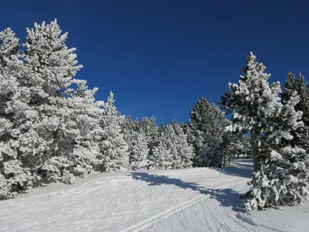 Appart 4 pièces 8 pers. à 400m des pistes : photo 34