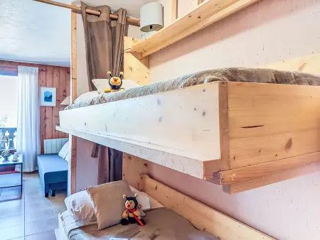 Pointe des Aravis B13 – Appt 2 pièces, vue montagne : photo 16