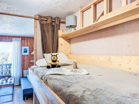 Pointe des Aravis B13 – Appt 2 pièces, vue montagne : photo 17