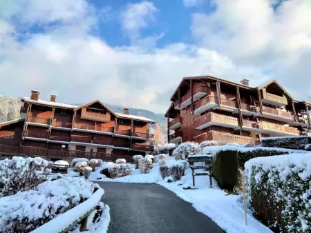 Pointe des Aravis B13 – Appt 2 pièces, vue montagne : photo 23