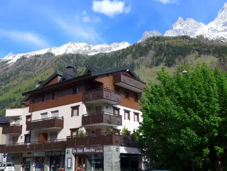 Appartement 2 chambres vue montagne à Chamonix : photo 24