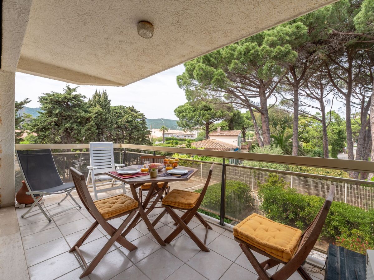 Studio 40 m² vue mer, accès direct plage - Photo 13