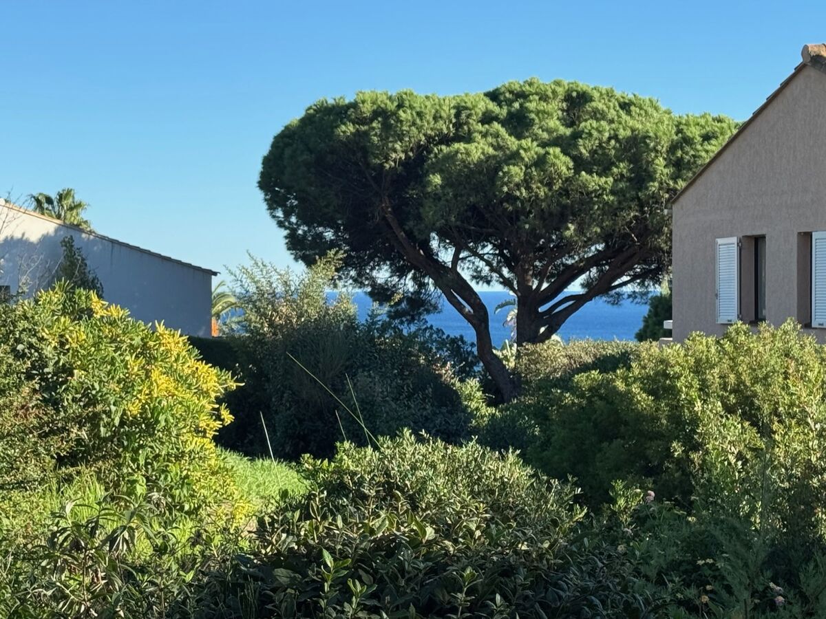 Studio 21m² Les Coteaux de la Nartelle, Sainte Maxime - Photo 2