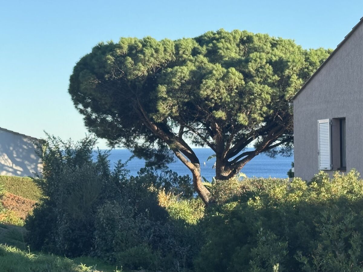 Studio 21m² Les Coteaux de la Nartelle, Sainte Maxime - Photo 18