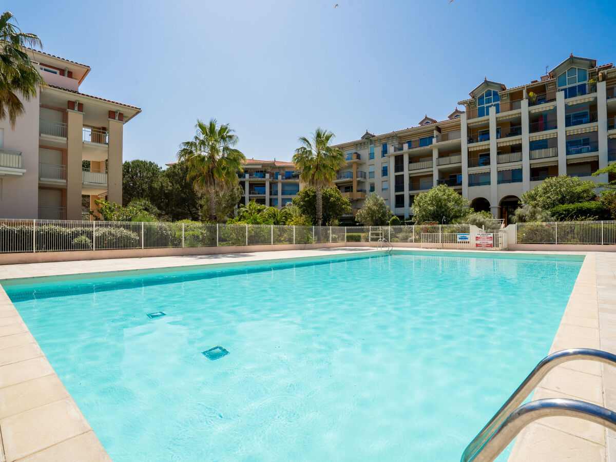 Apt 3 pièces 80 m² Le Grand Parc, piscine et parc - Photo 25