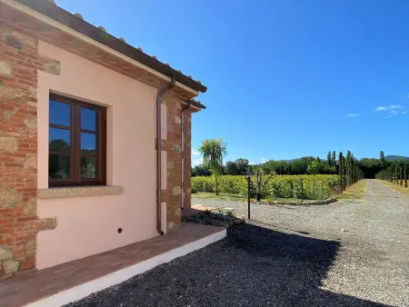 Amor, maison jumelée 3 pièces à Guardistallo : photo 29