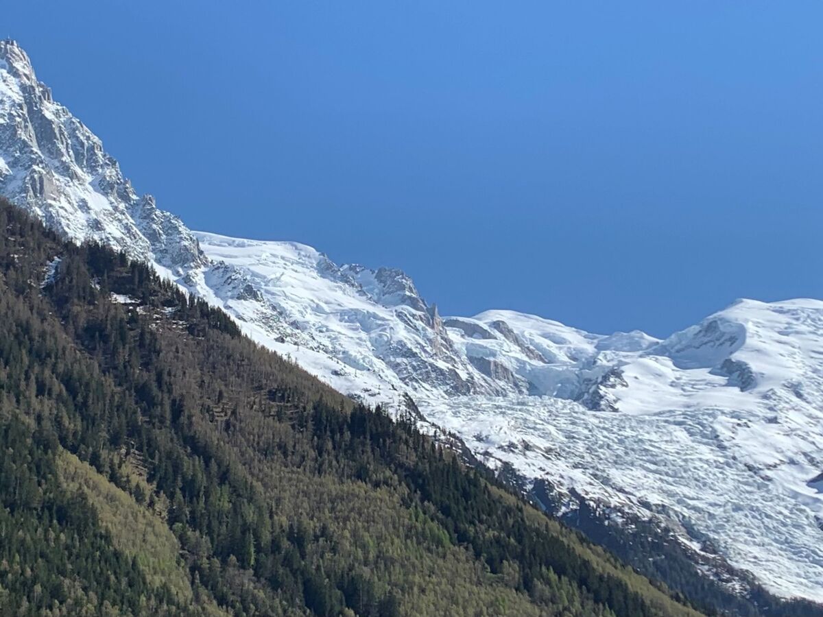 Le Paccard : studio 20 m² vue montagne à Chamonix - Photo 15