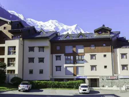 Appartement L'Espace Montagne, vue montagne à Chamonix : photo 19