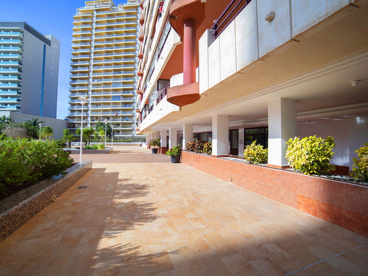 Appartement Coral Beach 03 – vue mer à 150 m de la plage - Photo 20