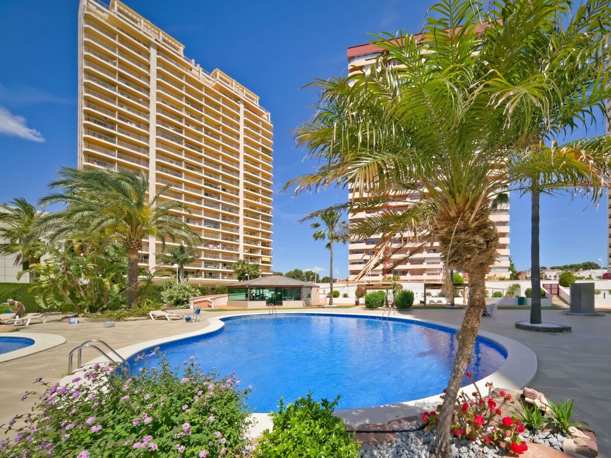 Appartement Coral Beach 03 – vue mer à 150 m de la plage - Photo 22