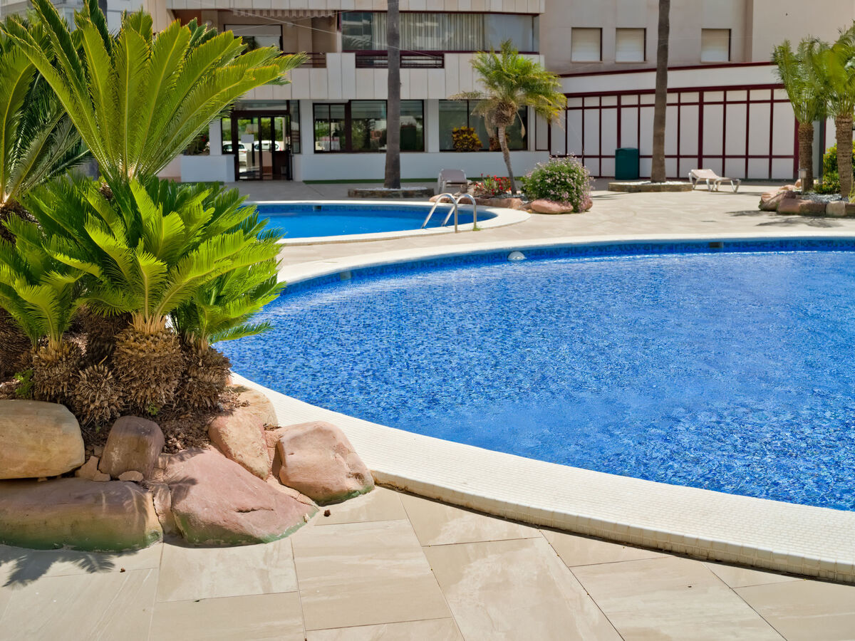 Appartement Coral Beach 03 – vue mer à 150 m de la plage - Photo 28