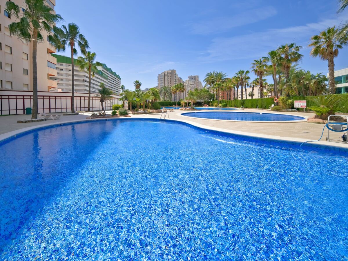 Appartement Coral Beach 03 – vue mer à 150 m de la plage - Photo 29