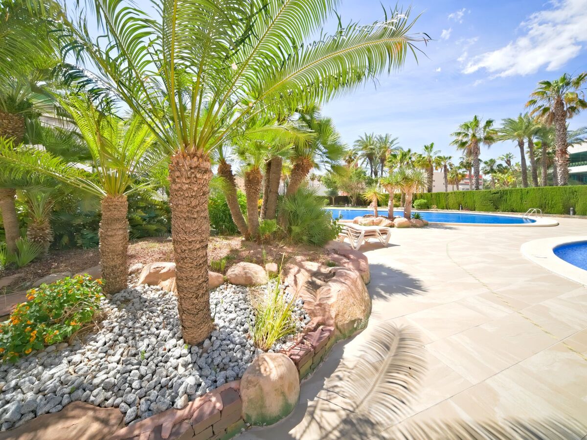 Appartement Coral Beach 03 – vue mer à 150 m de la plage - Photo 31
