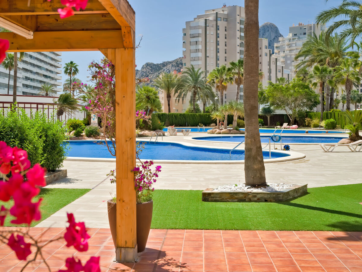Appartement Coral Beach 03 – vue mer à 150 m de la plage - Photo 41