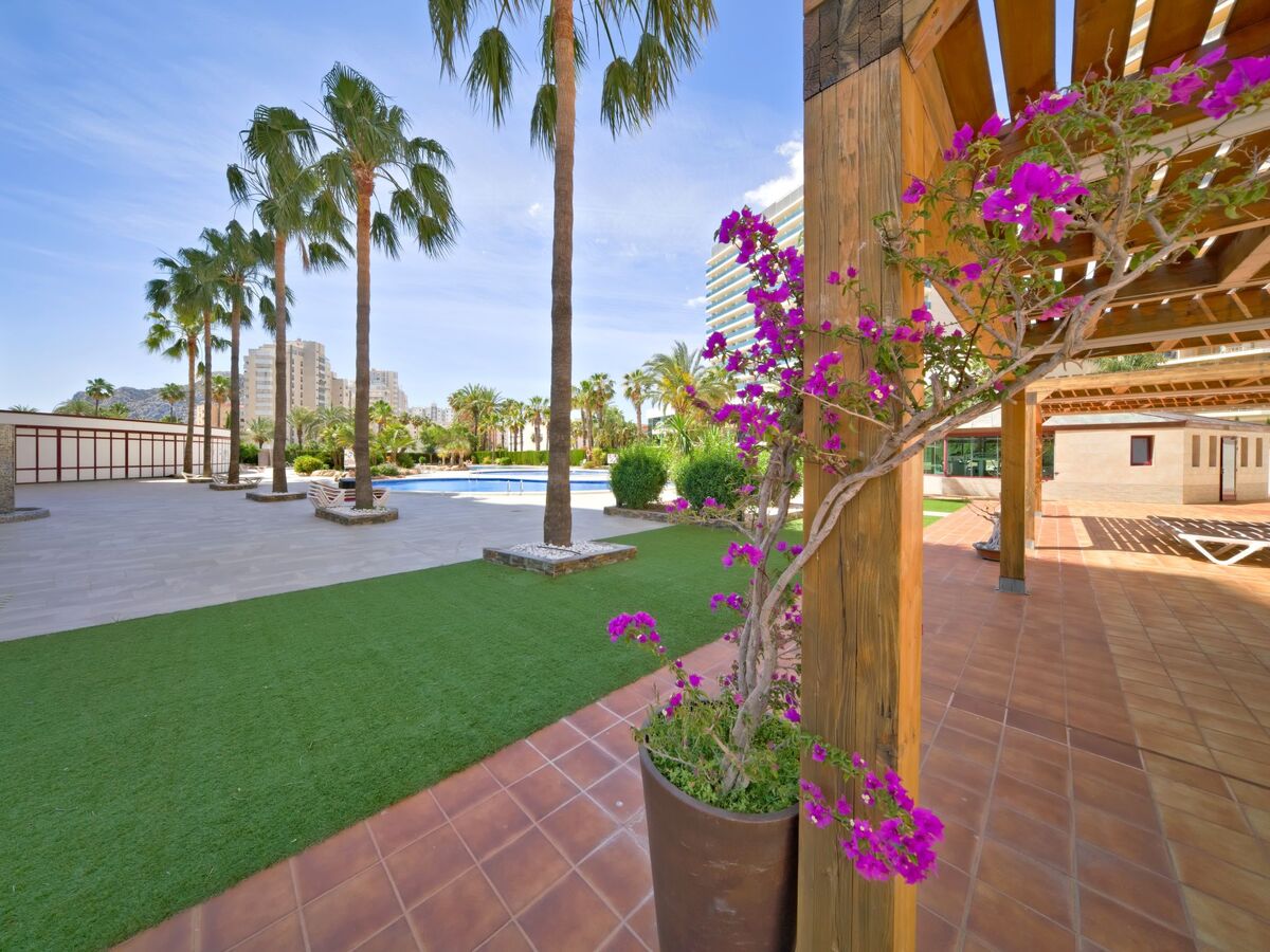 Appartement Coral Beach 03 – vue mer à 150 m de la plage - Photo 53