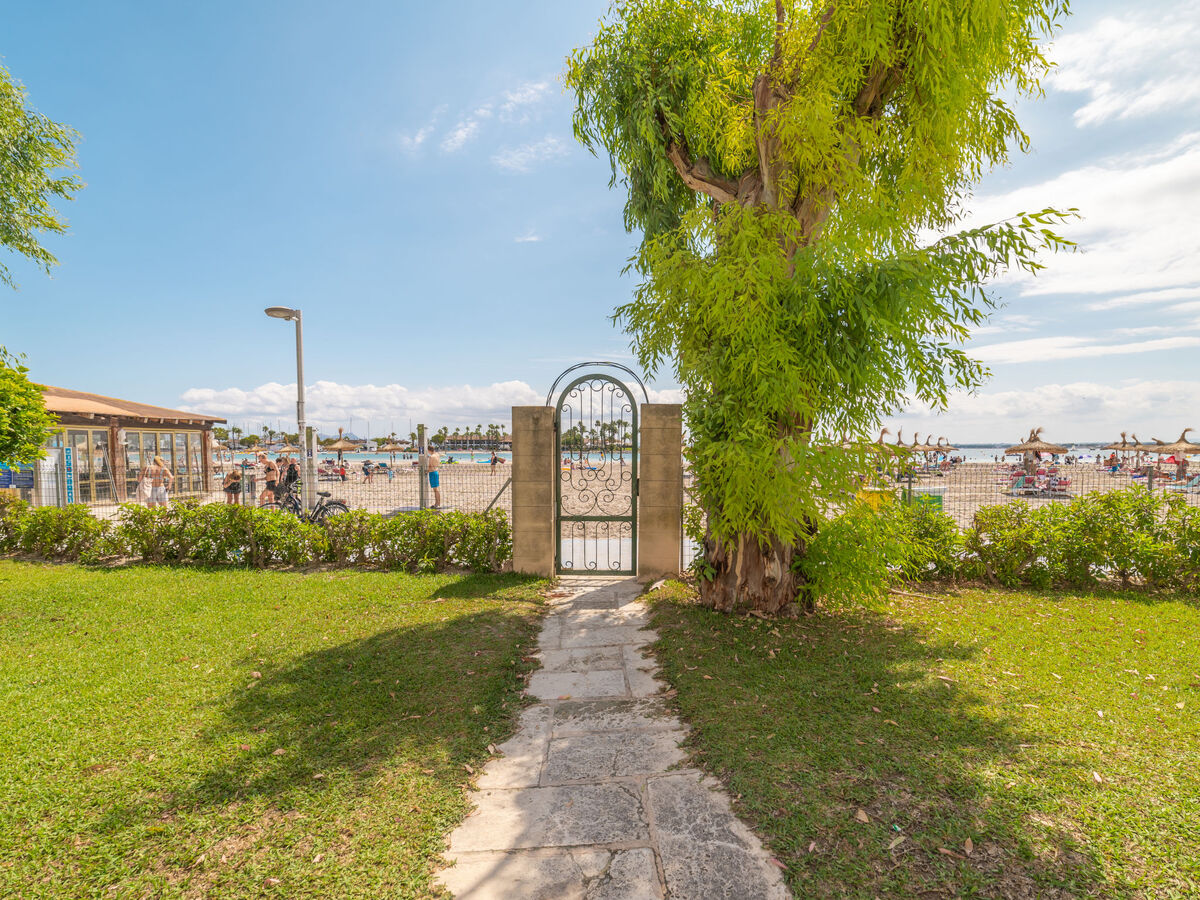 Carabela Front Beach & Pool, Port d'Alcúdia - Photo 24