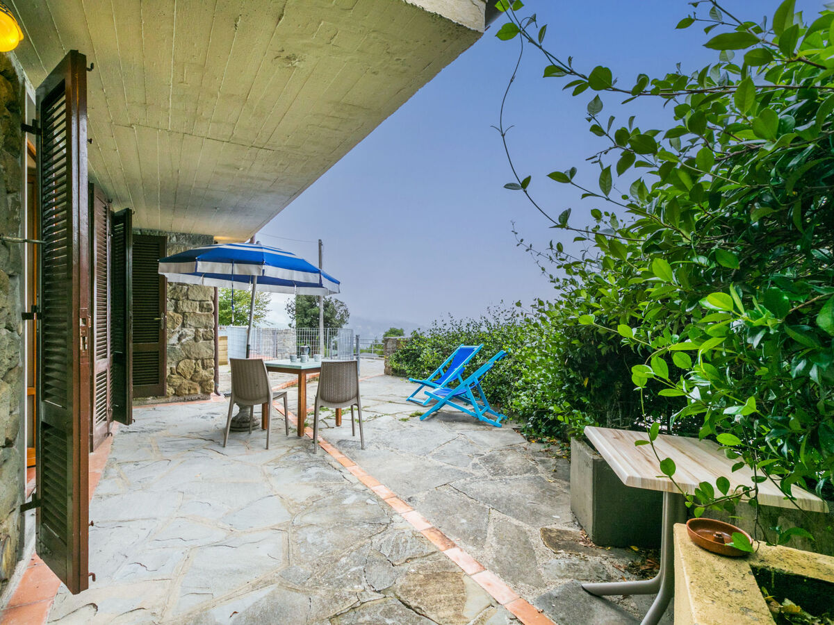 Agrifoglio – Appartement 4 pers. avec terrasse et piscine - Photo 28