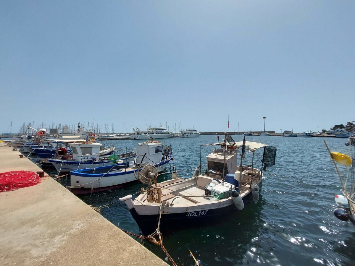 Sterlizia, appartement 3 pièces à La Caletta - Photo 25