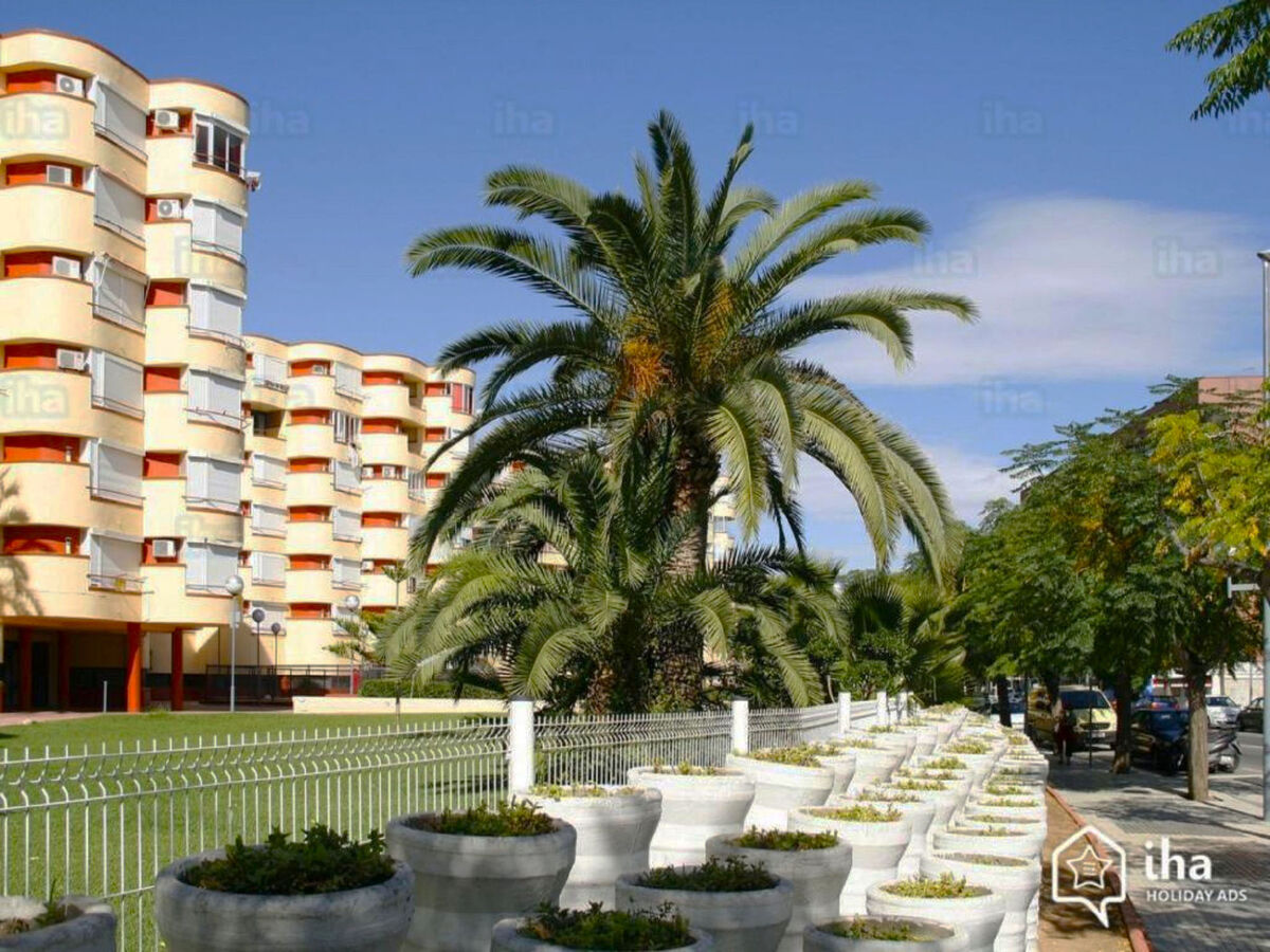 Studio Promar 30m² à 100m de la plage, La Pineda - Photo 18