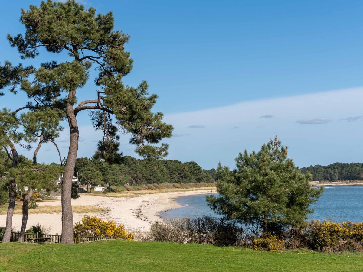 Studio 25 m² vue mer à Carnac, 100 m de la plage - Photo 18