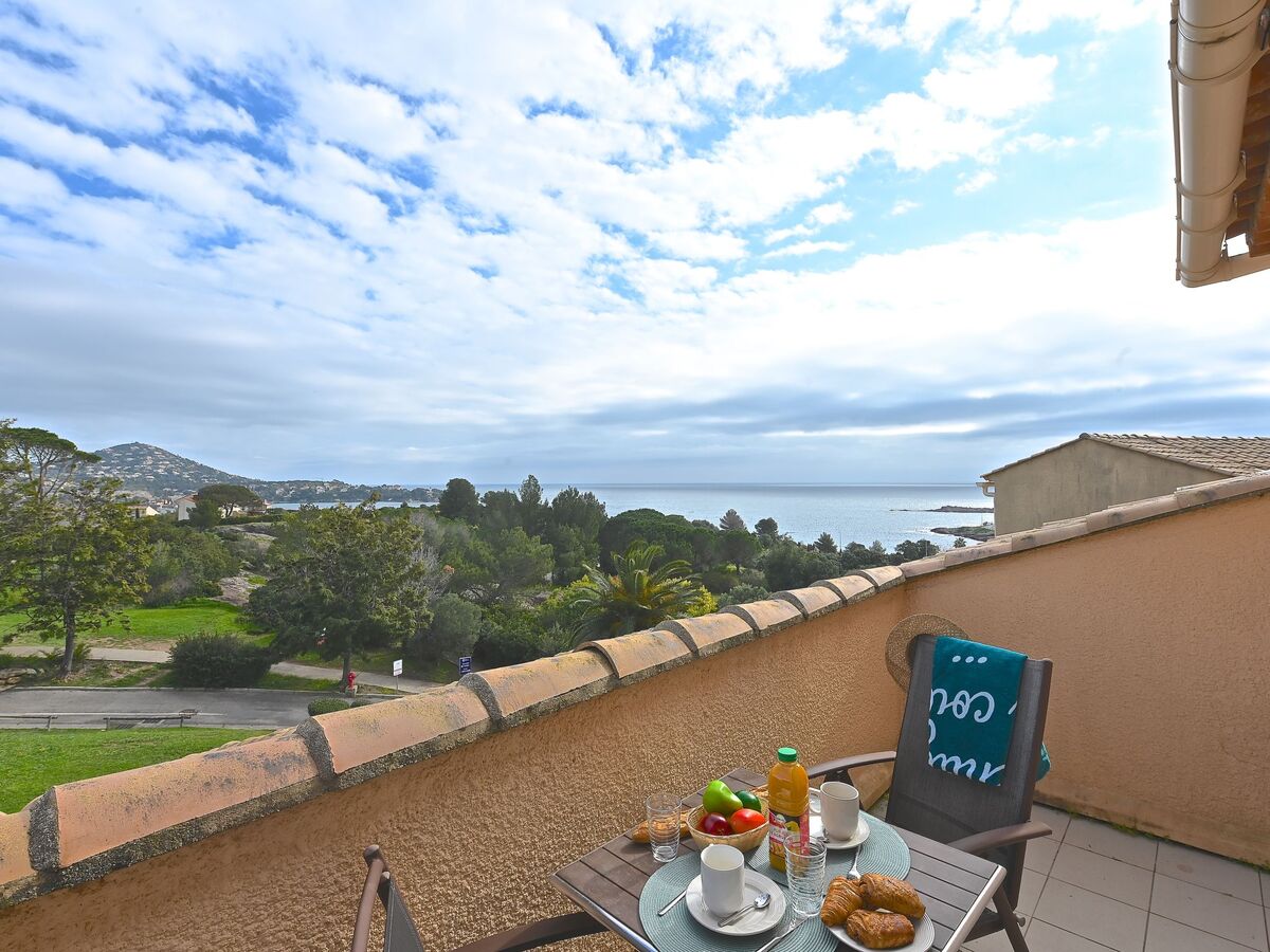 Appartement Le Belvédère – Agay, vue mer, 5 piscines - Photo 20
