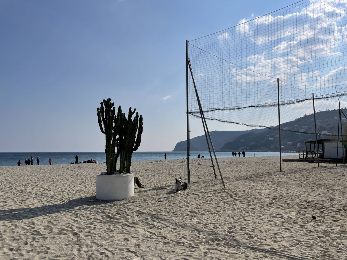 Tra Sole e Mare – Appartement 8 pers. à 100 m de la mer - Photo 23