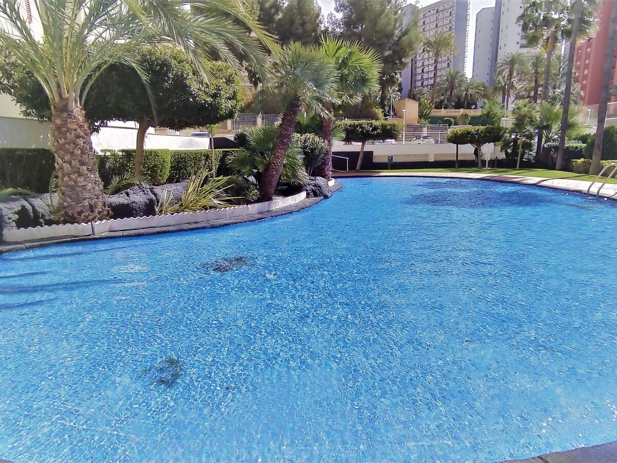 Torre San Marino, appartement 4 pers. Benidorm - Photo 20