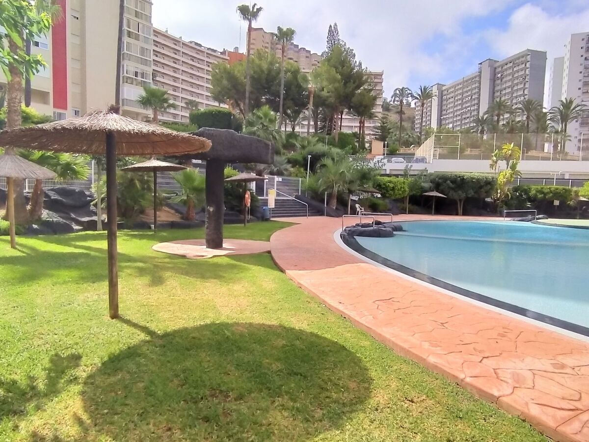 Torre San Marino, appartement 4 pers. Benidorm - Photo 31