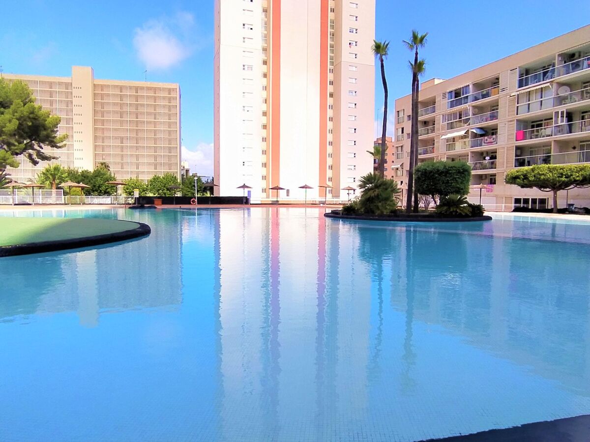 Torre San Marino, appartement 4 pers. Benidorm - Photo 33