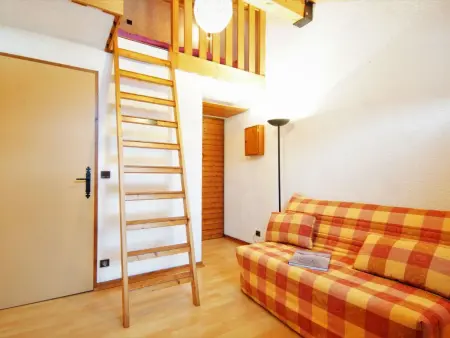 Studio 19 m² Les Arandellys aux Houches : photo 2