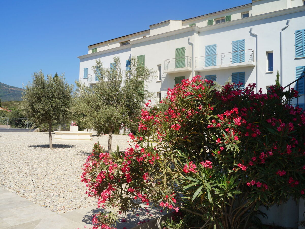 Appartement T3 à Macinaggio, plage à 20 m, vue mer - Photo 2