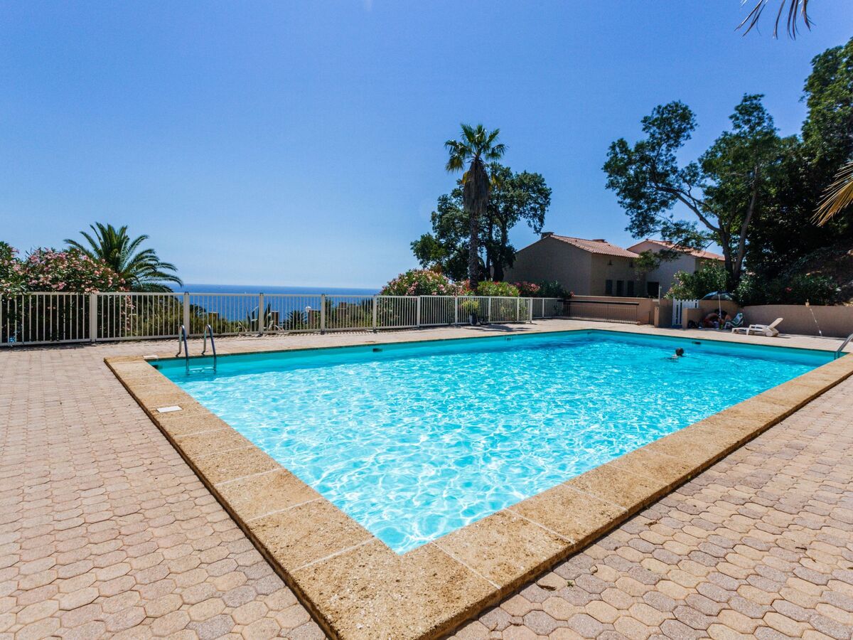 Appartement Le Paradou - Vue mer à Rayol Canadel - Photo 5