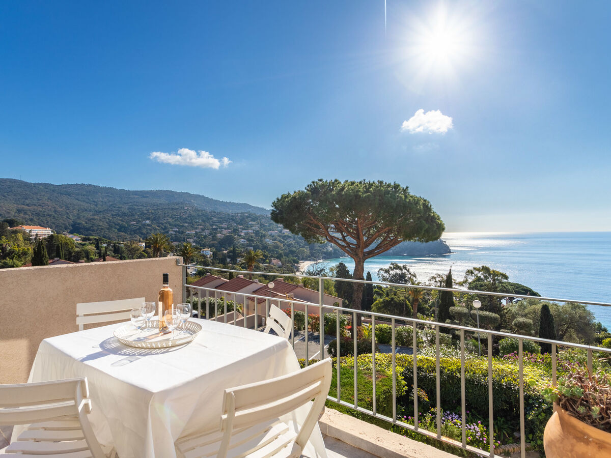 Appartement Le Paradou - Vue mer à Rayol Canadel - Photo 16