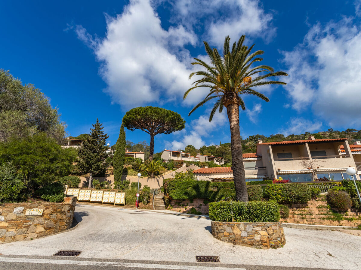 Appartement Le Paradou - Vue mer à Rayol Canadel - Photo 20