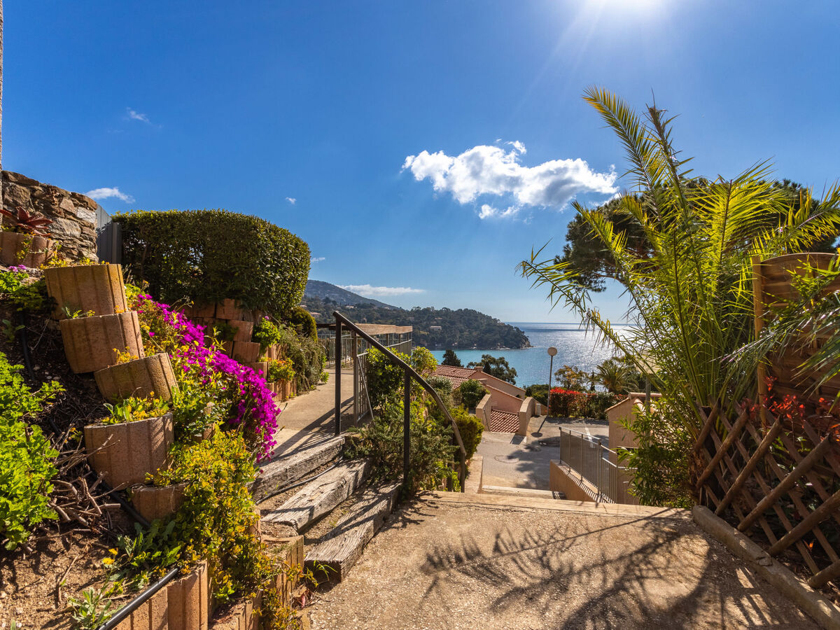 Appartement Le Paradou - Vue mer à Rayol Canadel - Photo 21