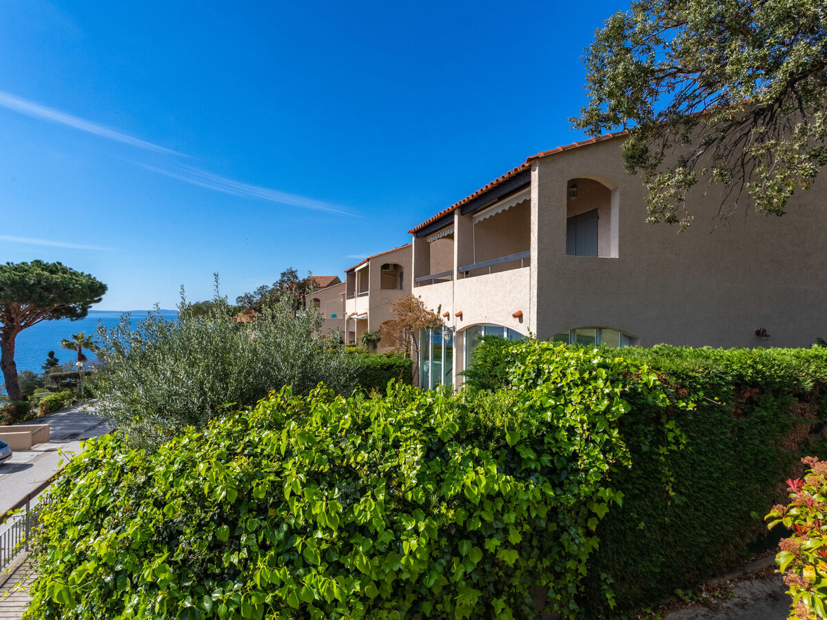 Appartement Le Paradou - Vue mer à Rayol Canadel - Photo 23