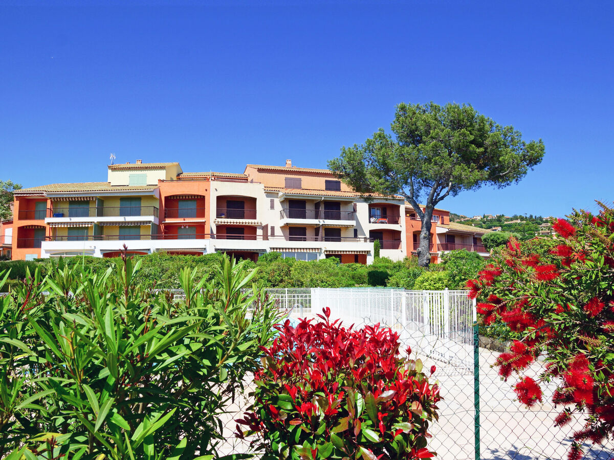 Studio vue mer à Agay, piscine et plage à 200 m - Photo 20