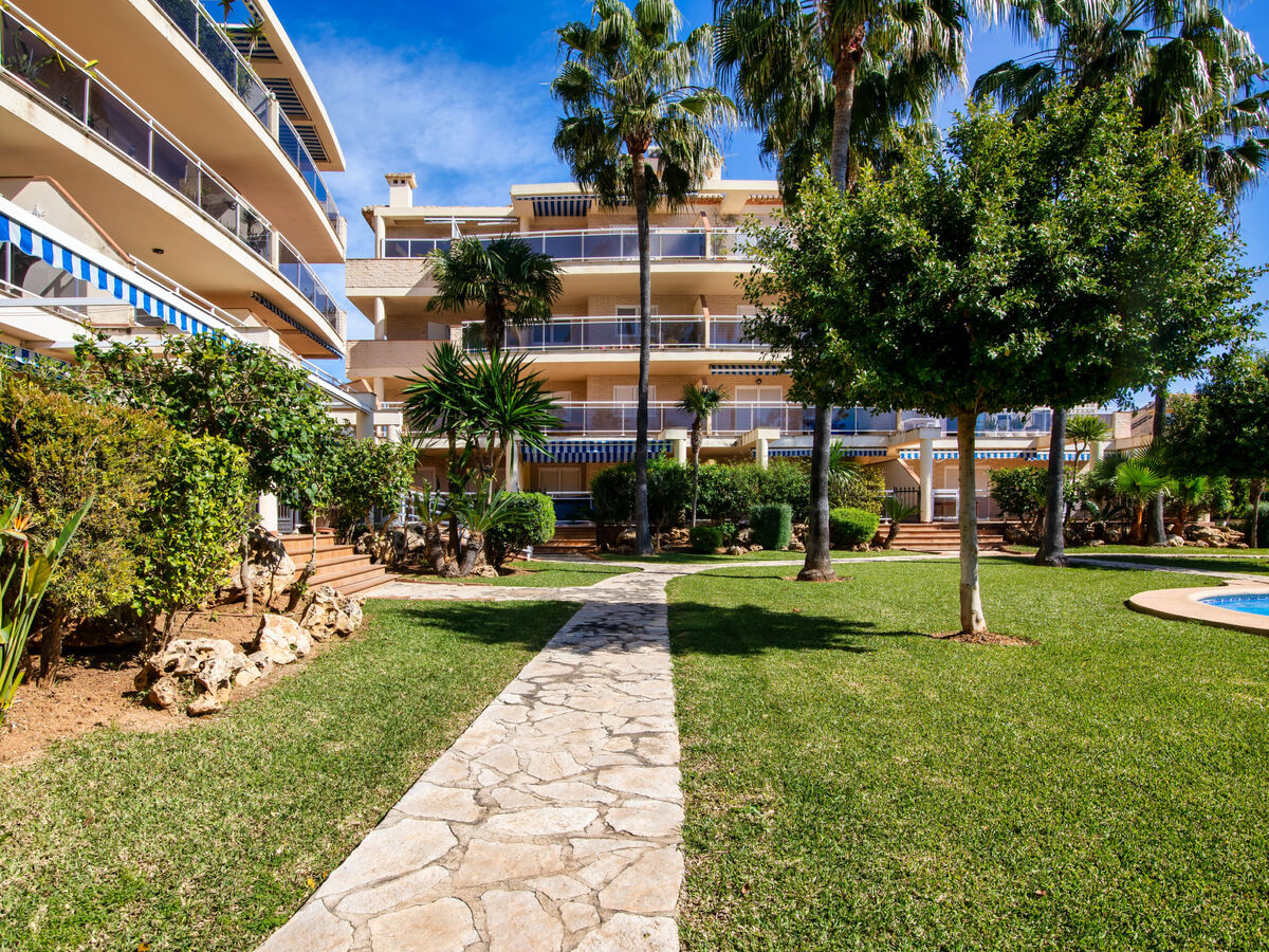 Los Aticos, appartement 3 chambres à 350 m de la mer - Photo 16