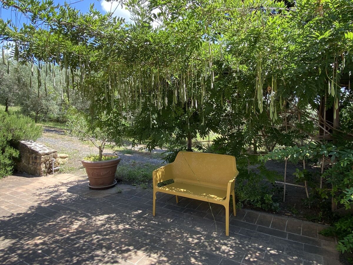 Levante - Appartement 4 pers. avec jardinet à Marina di Bibbona - Photo 22