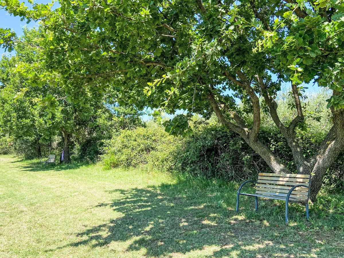 Levante - Appartement 4 pers. avec jardinet à Marina di Bibbona - Photo 27