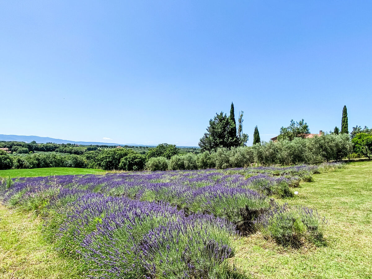Levante - Appartement 4 pers. avec jardinet à Marina di Bibbona - Photo 28