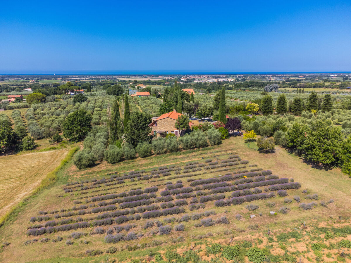 Levante - Appartement 4 pers. avec jardinet à Marina di Bibbona - Photo 32