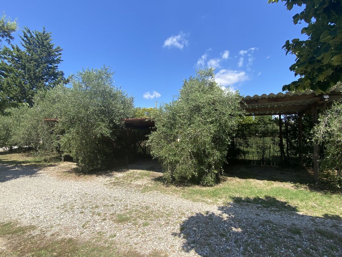 Levante - Appartement 4 pers. avec jardinet à Marina di Bibbona - Photo 48