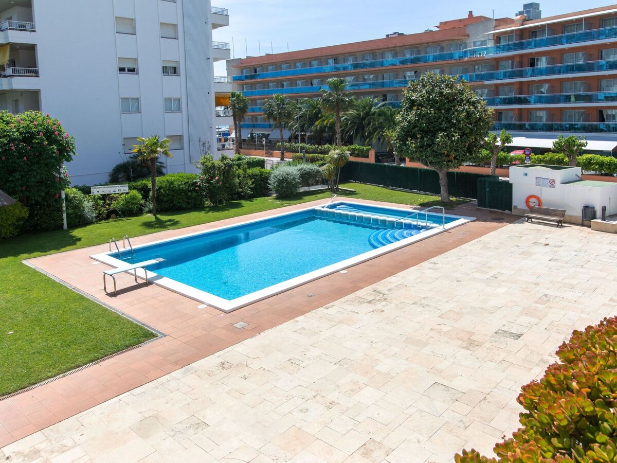 Miramar, appartement 3 pièces vue mer à Lloret de Mar - Photo 13