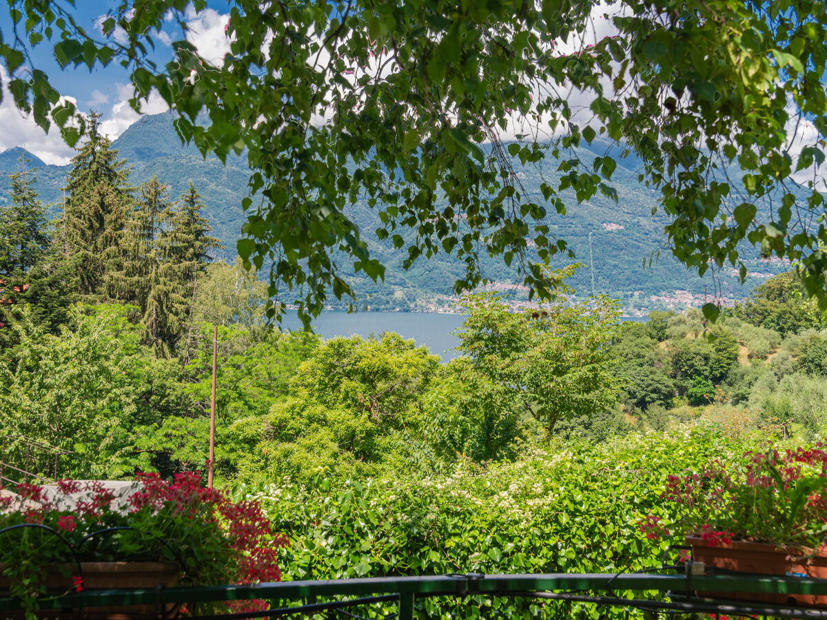 Nel Castagneto – Appartement 5 pers. avec jardin, Varenna - Photo 24
